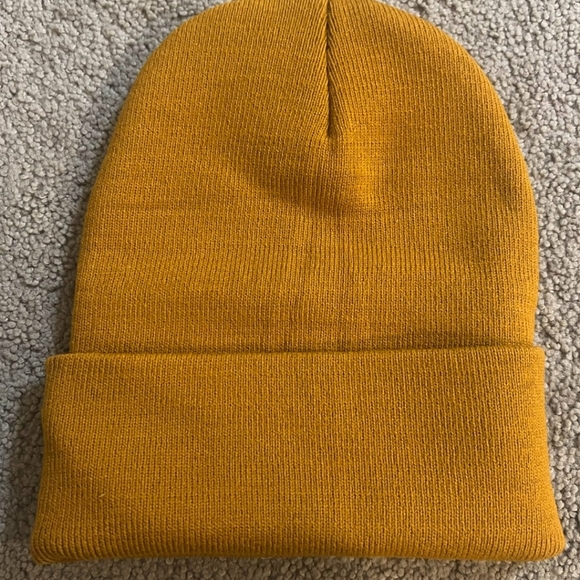 The Carhartt Winter Beanie Hat - Picture 2 of 3
